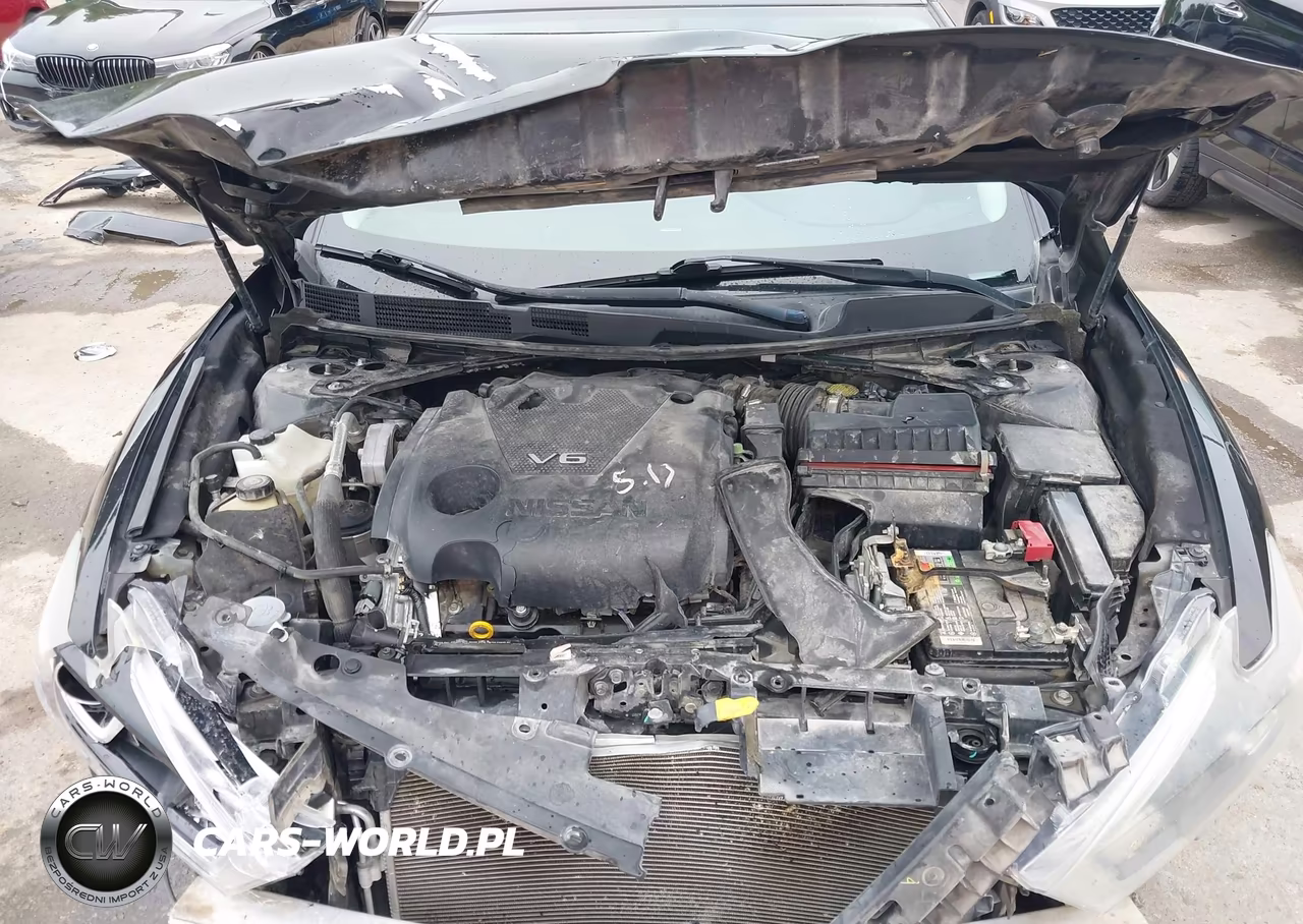 2017 Nissan Maxima 3.5 Sr VIN:1N4AA6AP8HC418662 - 10