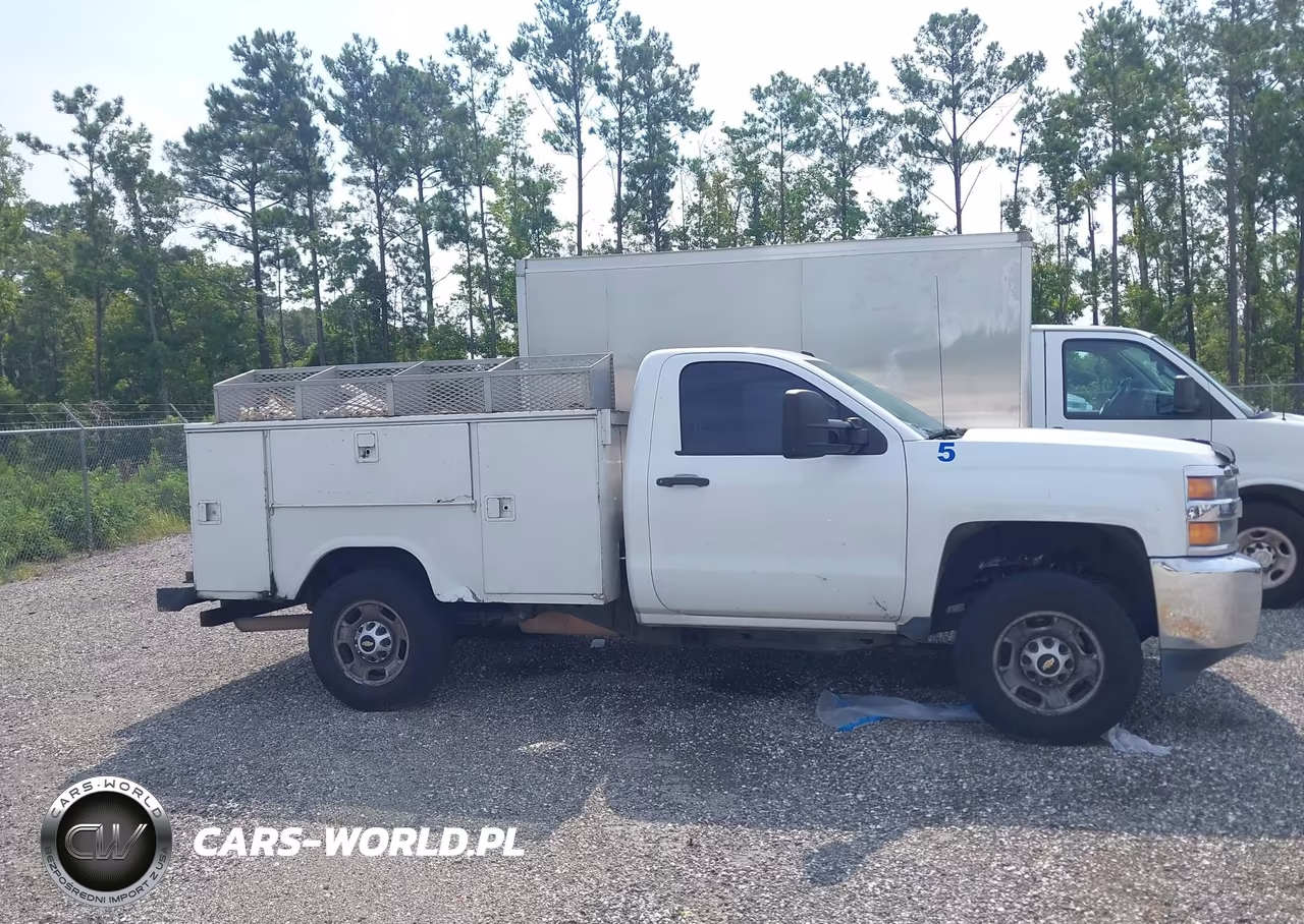 2018 Chevrolet Silverado 2500Hd Wt VIN:1GC0CUEG0JZ183904 - 13