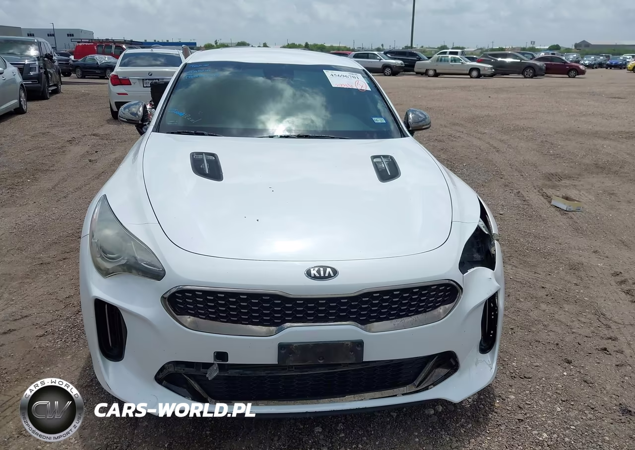 2020 Kia Stinger Gt-Line VIN:KNAE15LA4L6073682 - 13