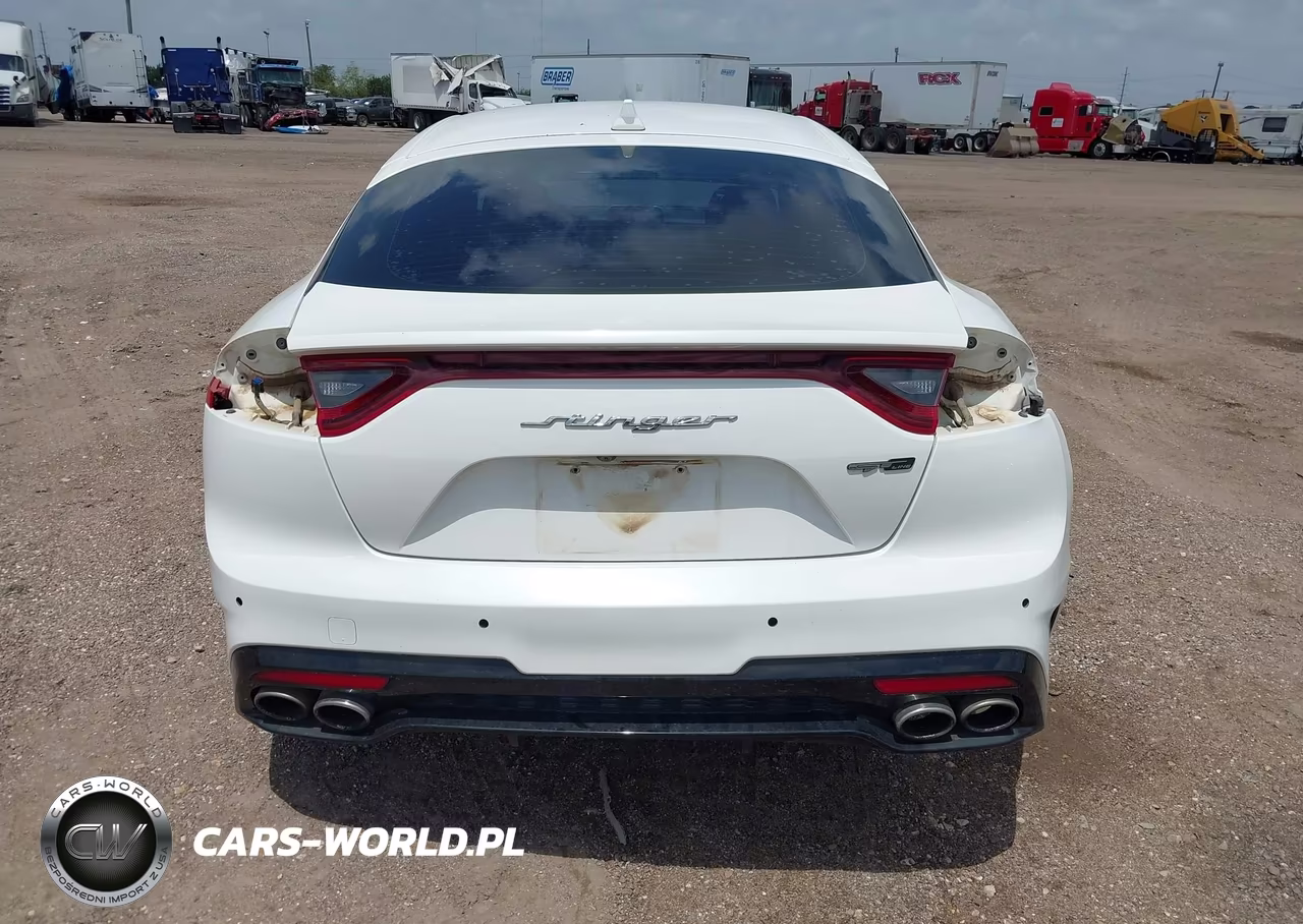 2020 Kia Stinger Gt-Line VIN:KNAE15LA4L6073682 - 17