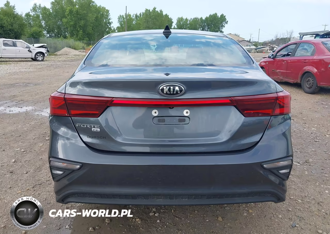 2020 Kia Forte Fe VIN:3KPF24AD8LE190767 - 17