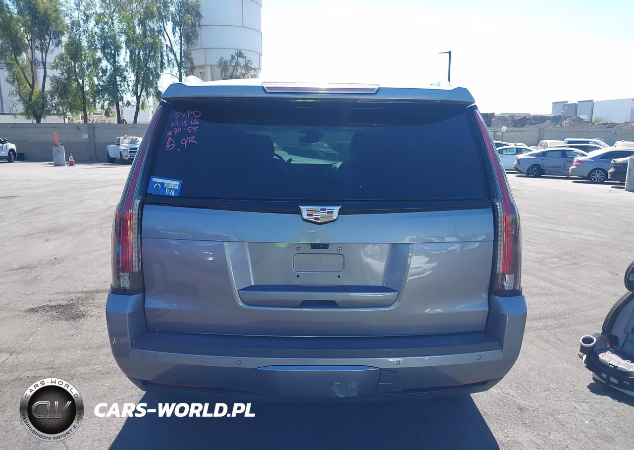 2020 Cadillac Escalade 2Wd Luxury VIN:1GYS3BKJ1LR214491 - 17
