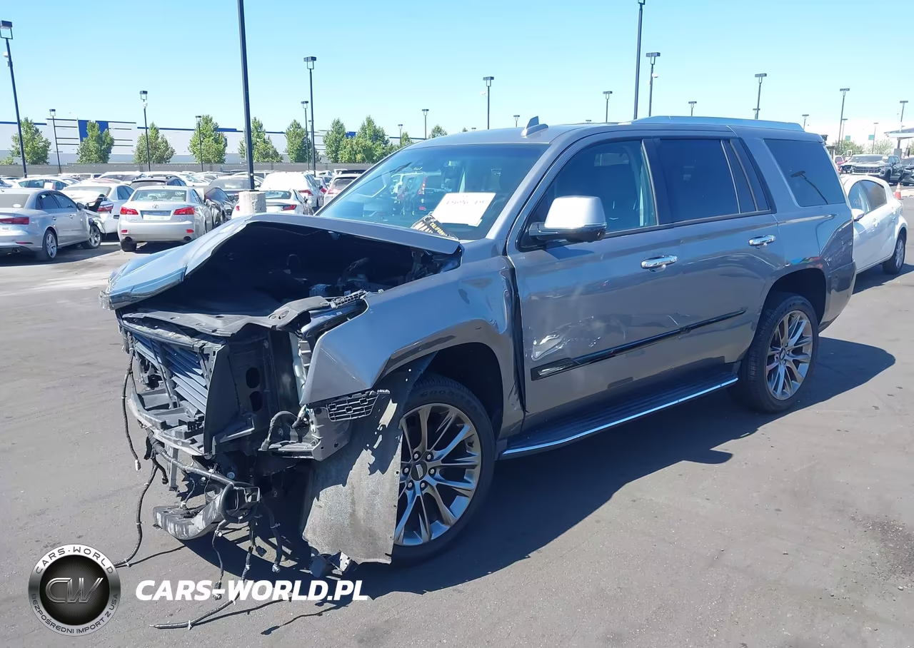 2020 Cadillac Escalade 2Wd Luxury VIN:1GYS3BKJ1LR214491 - 2