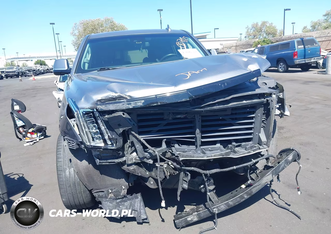 2020 Cadillac Escalade 2Wd Luxury VIN:1GYS3BKJ1LR214491 - 6