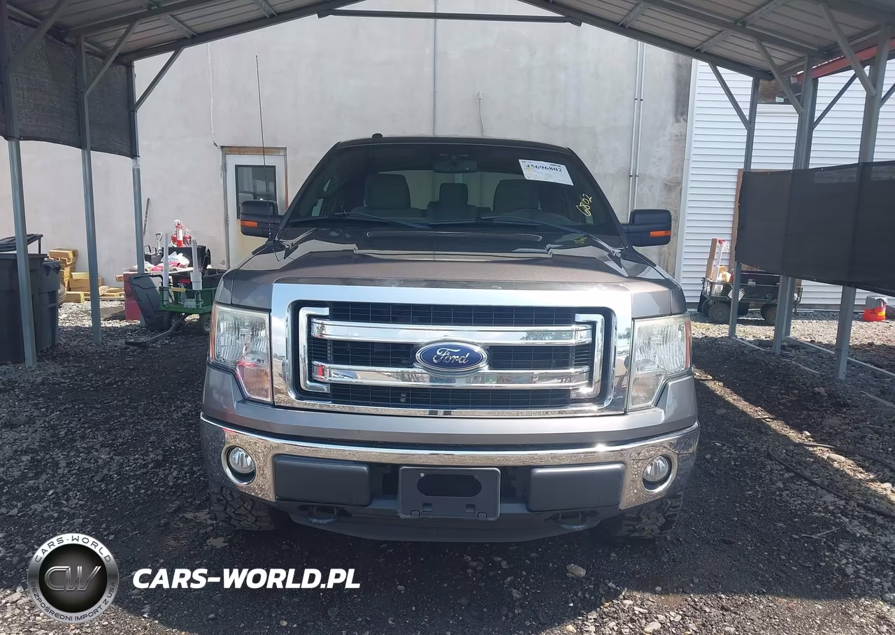 2014 Ford F-150 Xlt VIN:1FTFX1EFXEFA22150 - 12