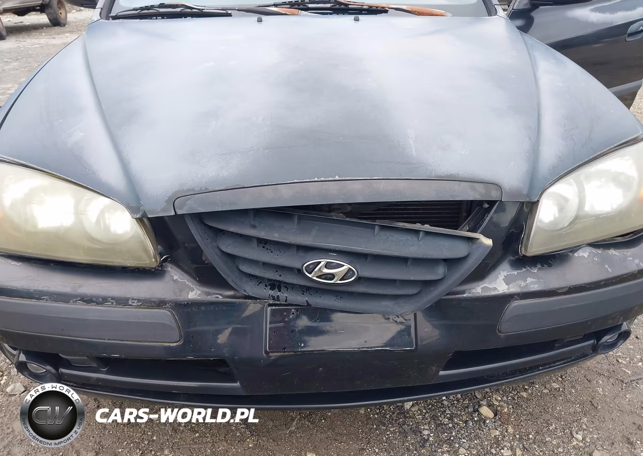 2005 Hyundai Elantra Gls-Gt VIN:KMHDN56DX5U143284 - 6