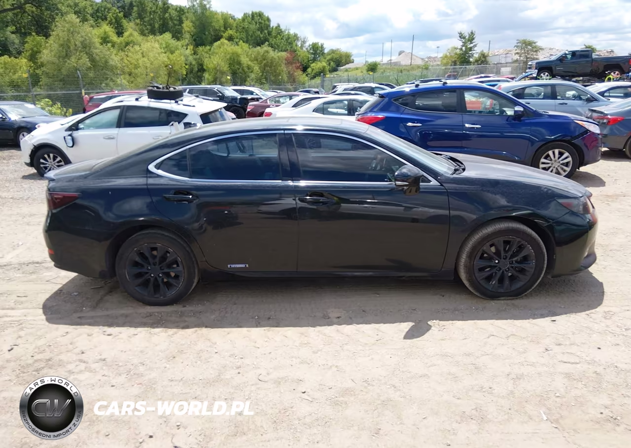 2015 Lexus Es 300H VIN:JTHBW1GG1F2098144 - 13