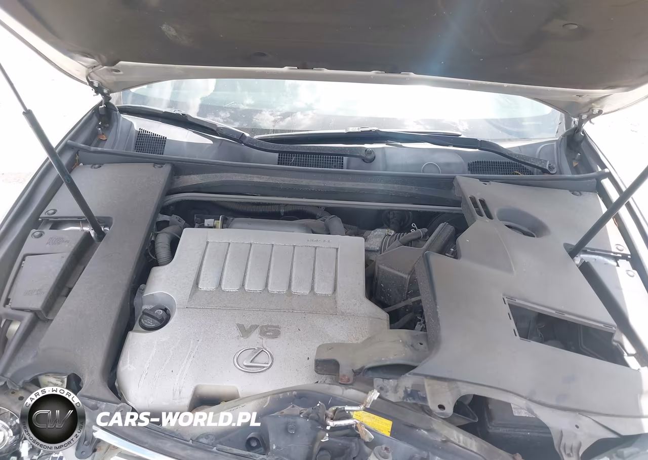 2010 Lexus Es 350 VIN:JTHBK1EG3A2404204 - 10