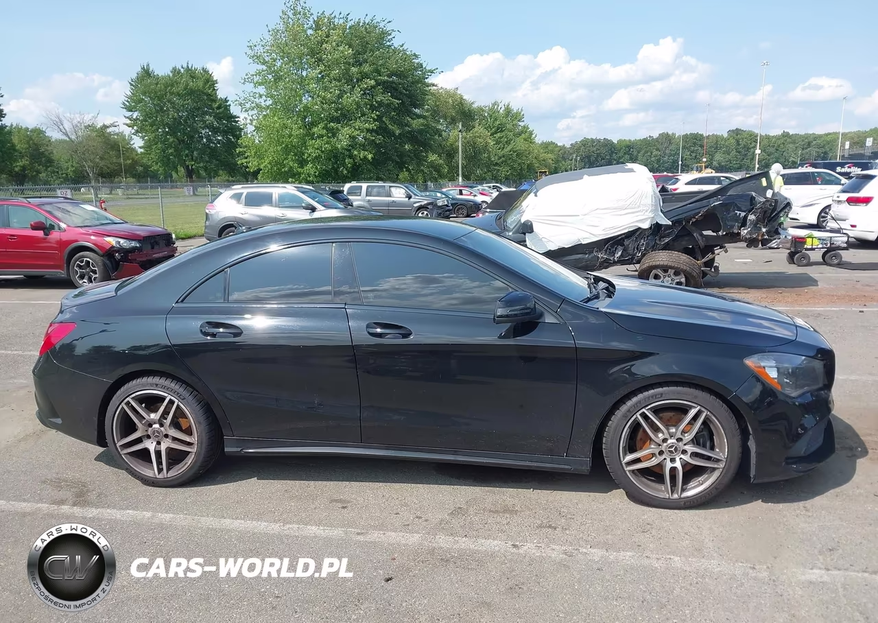2019 Mercedes-Benz Cla 250 VIN:WDDSJ4EB6KN713830 - 13