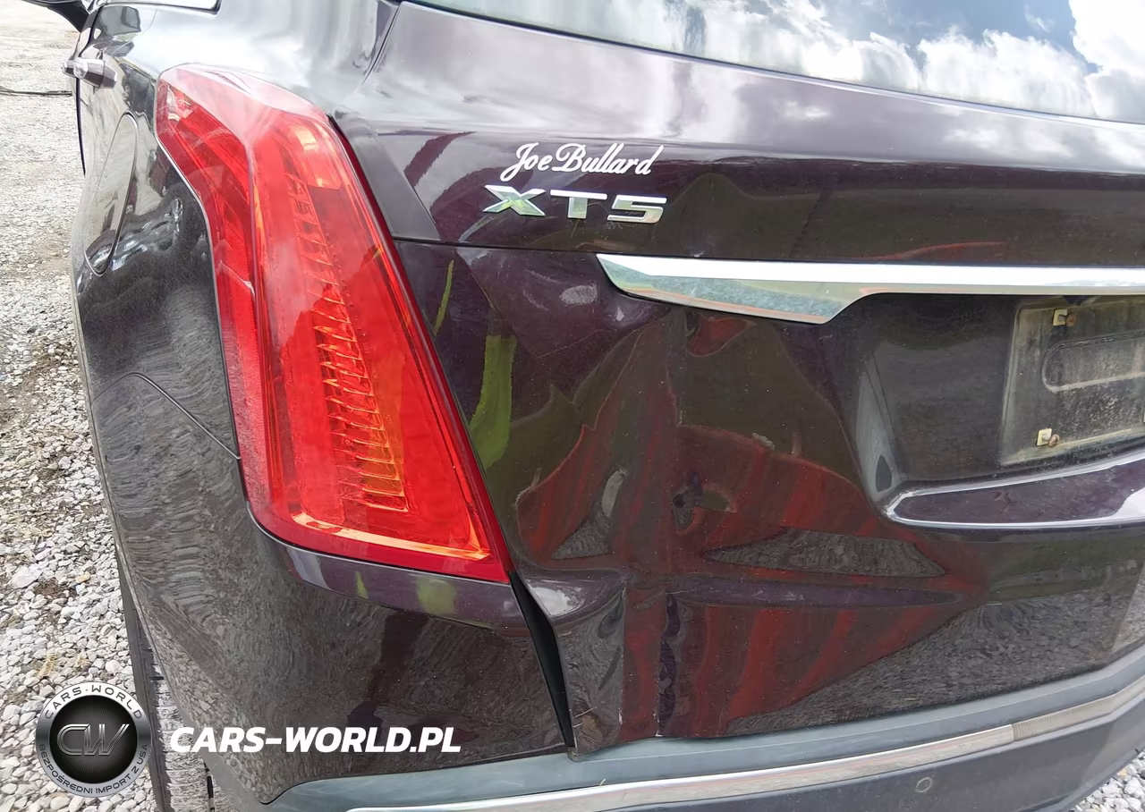 2017 Cadillac Xt5 Premium Luxury VIN:1GYKNCRS1HZ196211 - 18