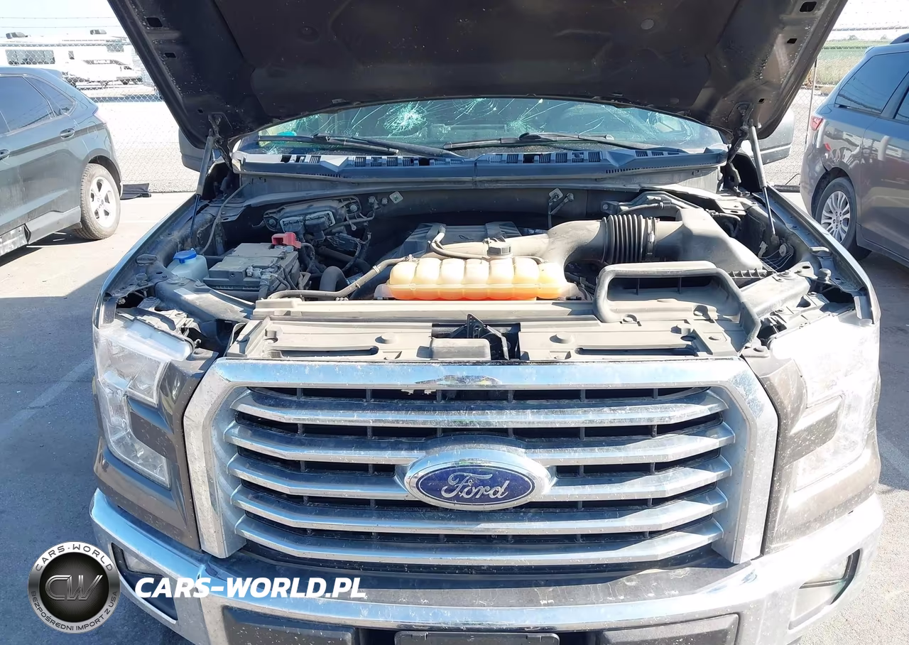 2017 Ford F-150 Xlt VIN:1FTEW1EP8HFB65142 - 10