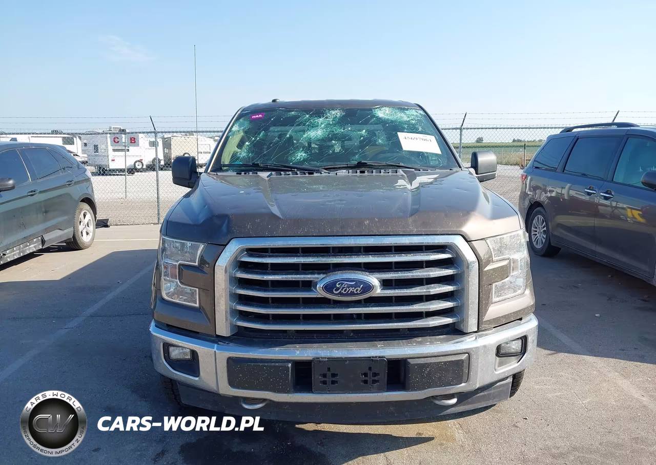 2017 Ford F-150 Xlt VIN:1FTEW1EP8HFB65142 - 12