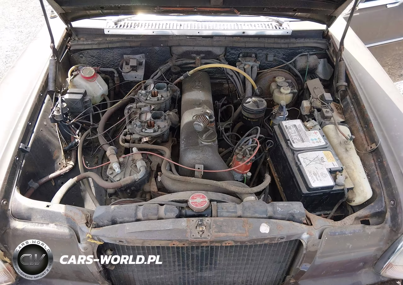 1971 Mercedes 250 C VIN:11401112005463 - 10