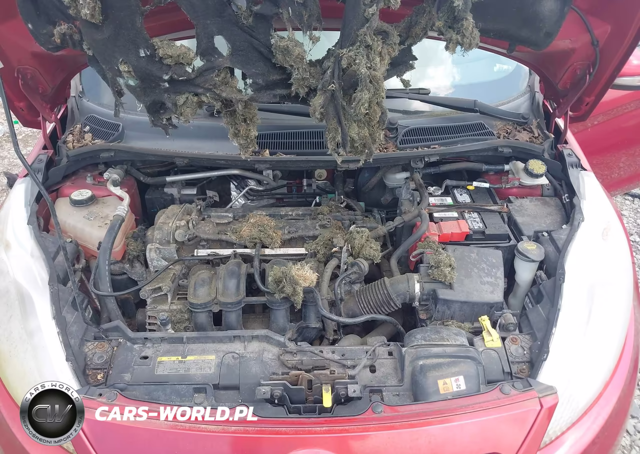 2011 Ford Fiesta Ses VIN:3FADP4FJ9BM166303 - 10