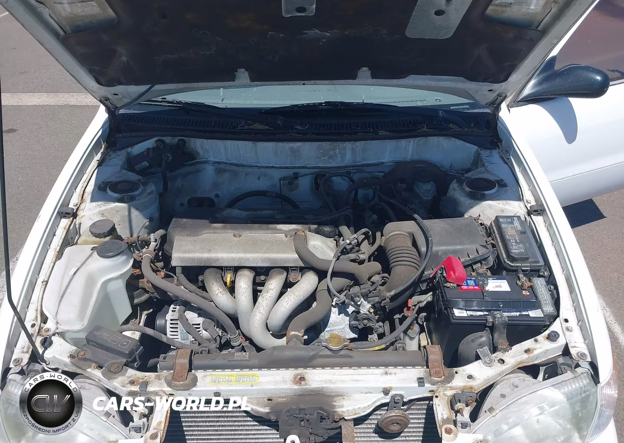 1999 Toyota Corolla Ce VIN:1NXBR12E4XZ239224 - 10