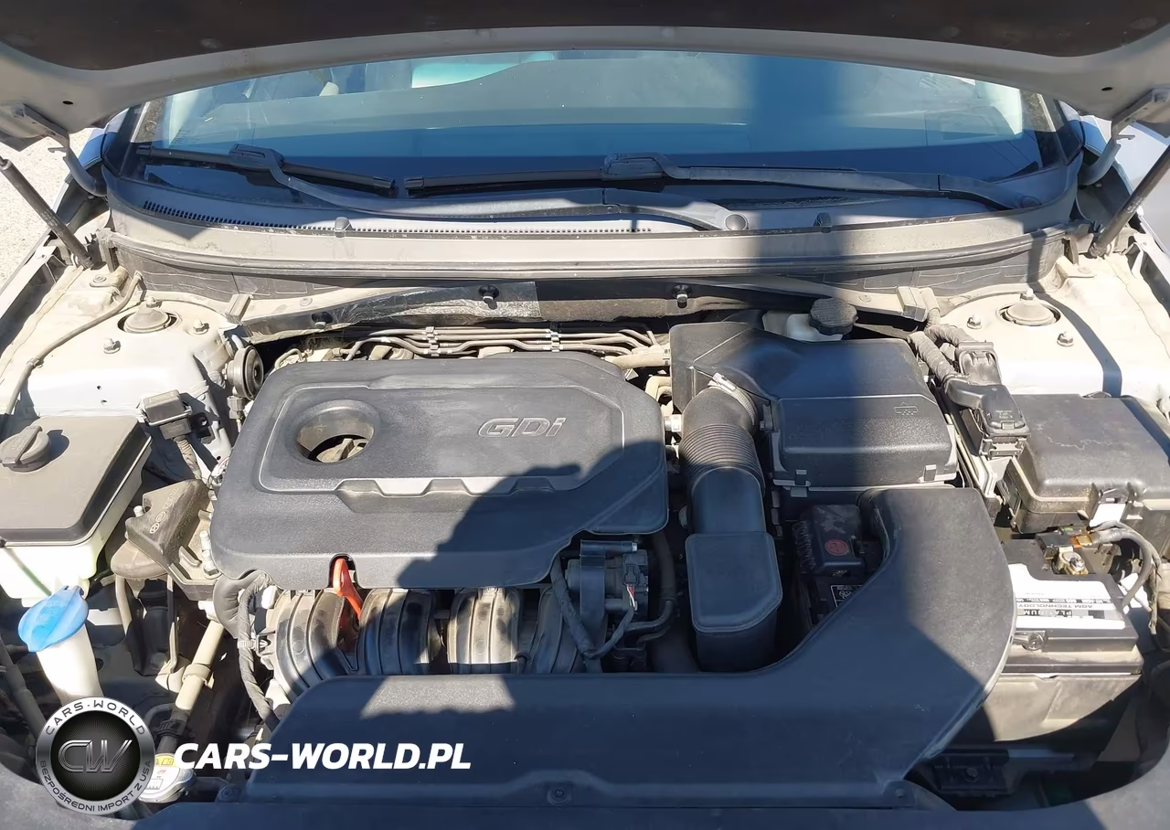 2015 Hyundai Sonata Sport VIN:5NPE34AF8FH231019 - 10