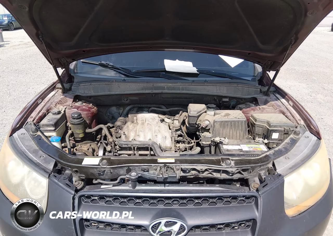 2009 Hyundai Santa Fe Gls VIN:5NMSG13DX9H319332 - 10