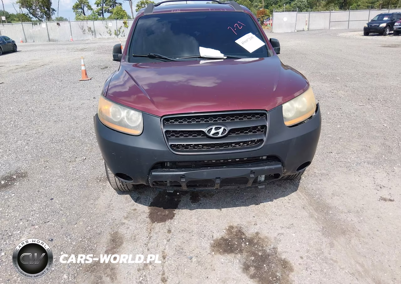 2009 Hyundai Santa Fe Gls VIN:5NMSG13DX9H319332 - 14