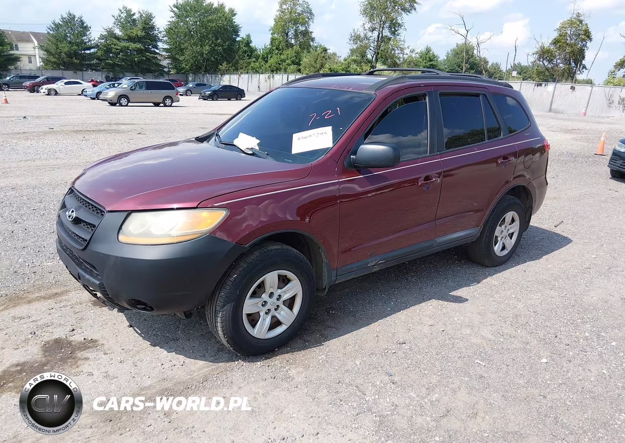 2009 Hyundai Santa Fe Gls VIN:5NMSG13DX9H319332 - 2