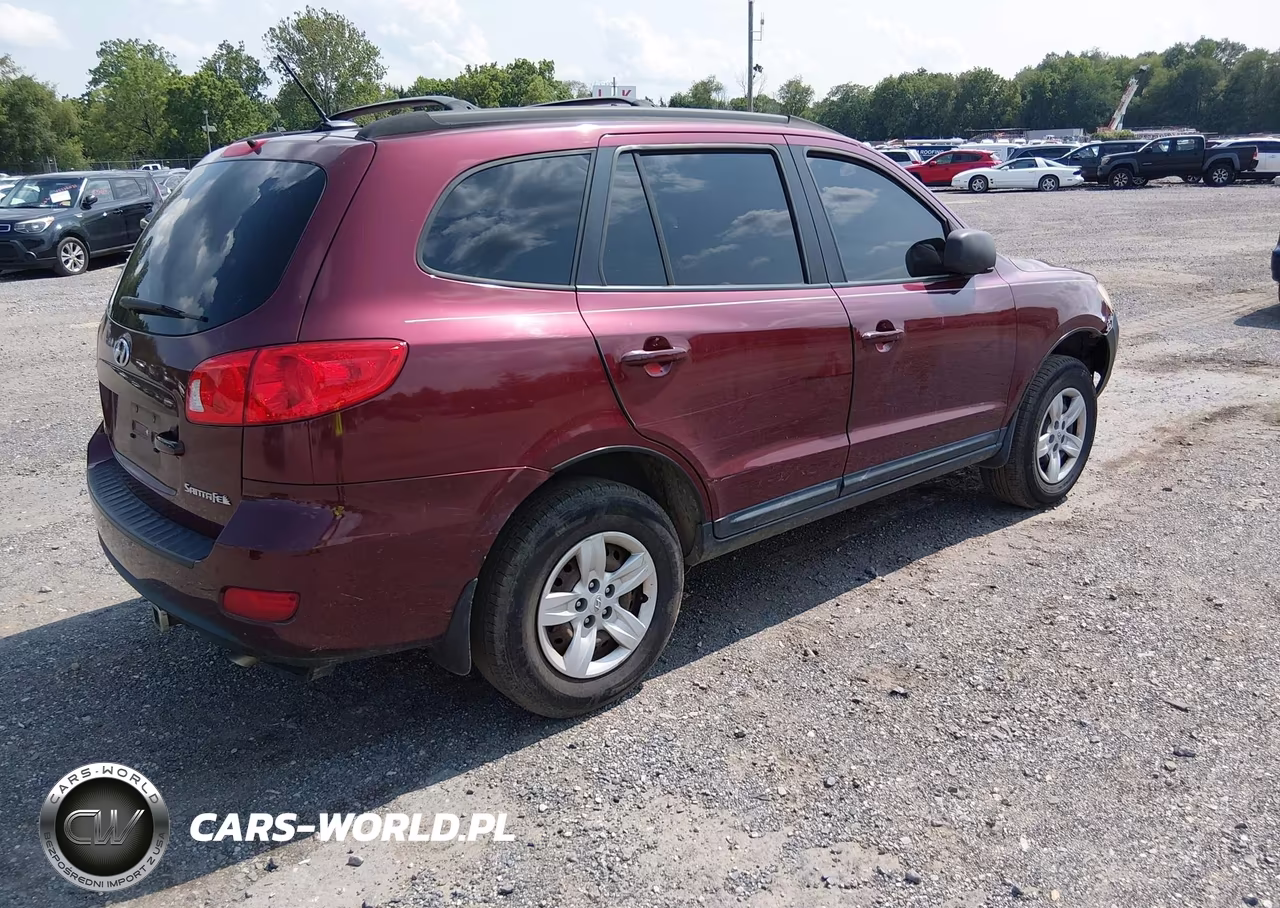 2009 Hyundai Santa Fe Gls VIN:5NMSG13DX9H319332 - 4