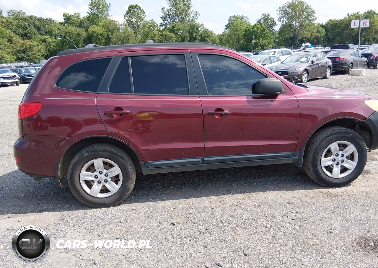 2009 Hyundai Santa Fe Gls VIN:5NMSG13DX9H319332 - 6