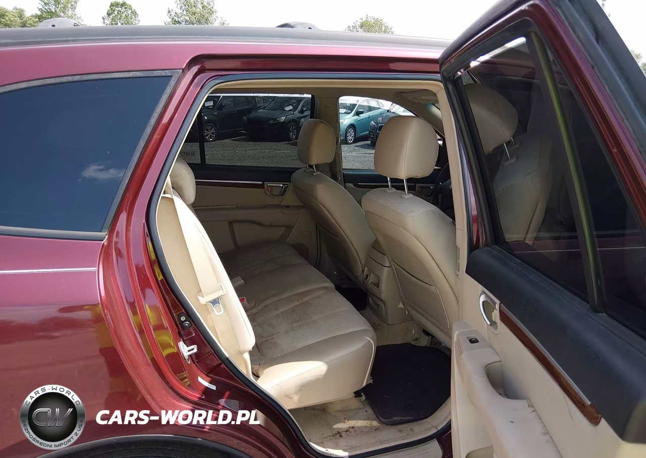 2009 Hyundai Santa Fe Gls VIN:5NMSG13DX9H319332 - 8