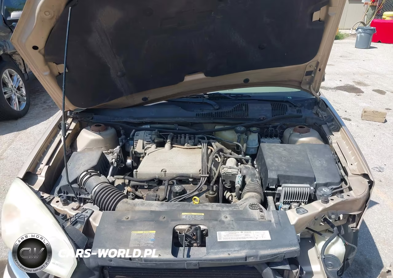 2004 Chevrolet Malibu Maxx Ls VIN:1G1ZT62834F236268 - 10