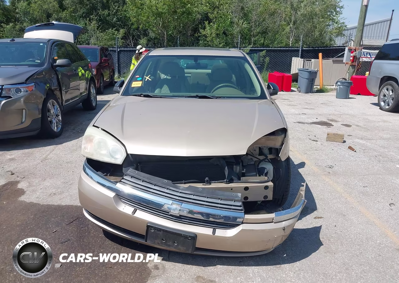 2004 Chevrolet Malibu Maxx Ls VIN:1G1ZT62834F236268 - 13