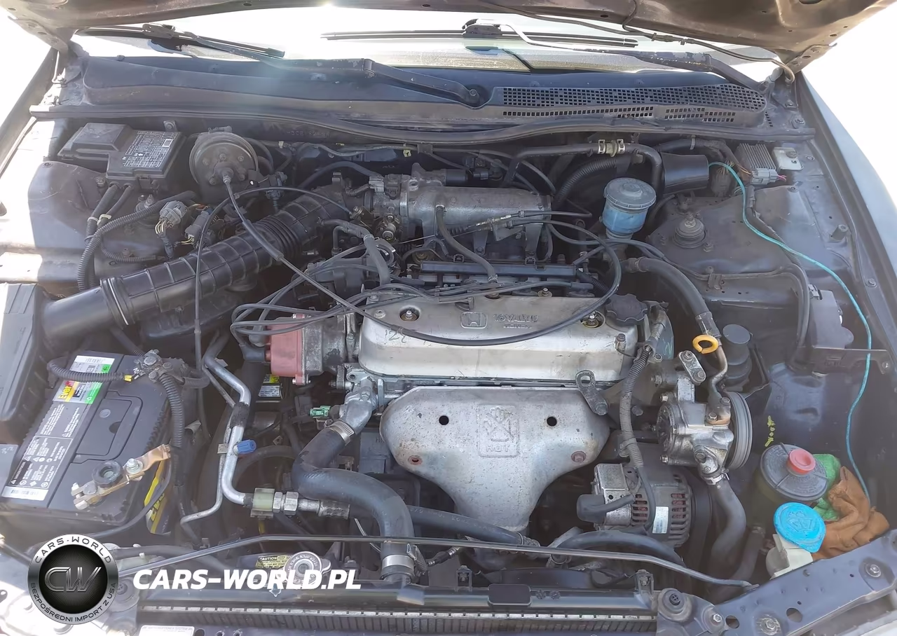 1995 Honda Accord Lx VIN:1HGCE1824SA010541 - 10