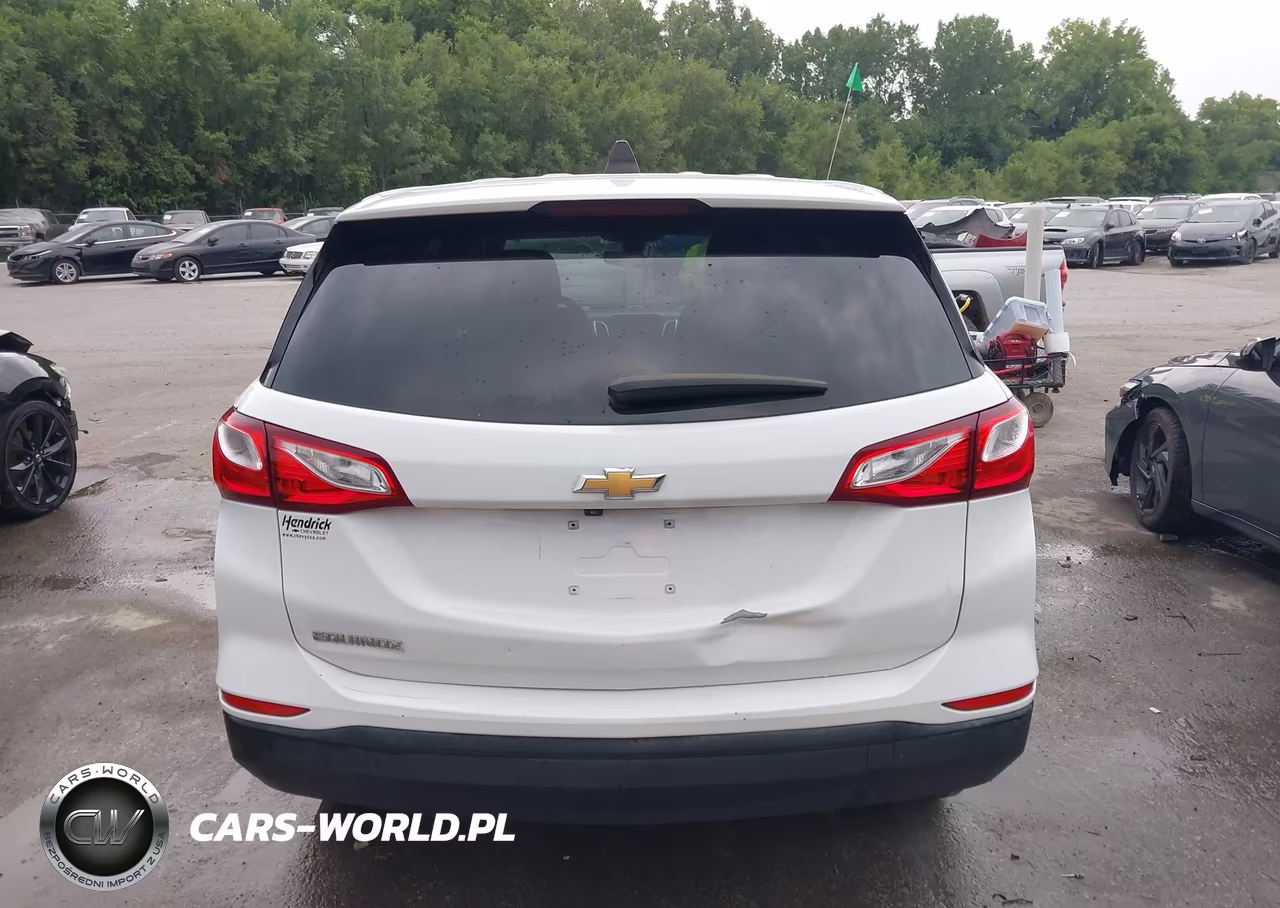 2020 Chevrolet Equinox Fwd Ls VIN:3GNAXHEV6LS732186 - 17