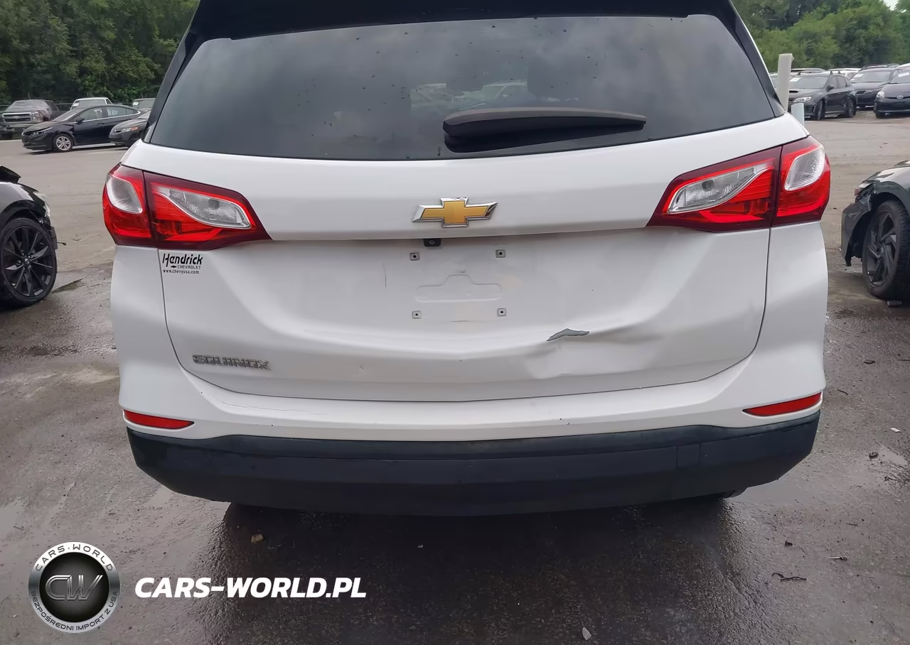 2020 Chevrolet Equinox Fwd Ls VIN:3GNAXHEV6LS732186 - 19