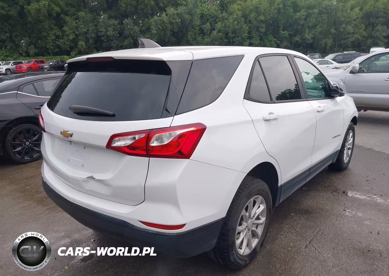 2020 Chevrolet Equinox Fwd Ls VIN:3GNAXHEV6LS732186 - 4