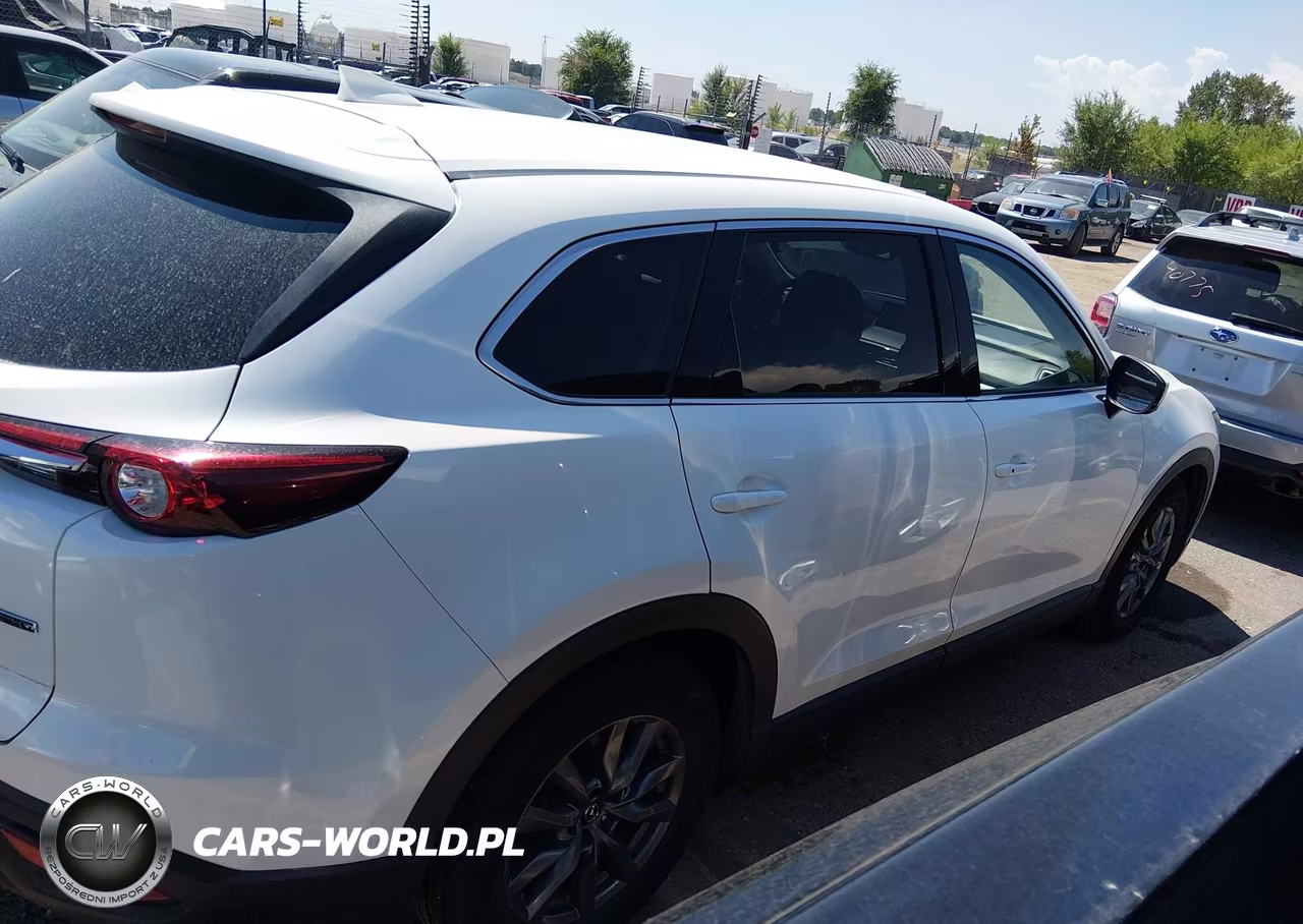 2021 Mazda Cx-9 Touring VIN:JM3TCBCY0M0516227 - 13