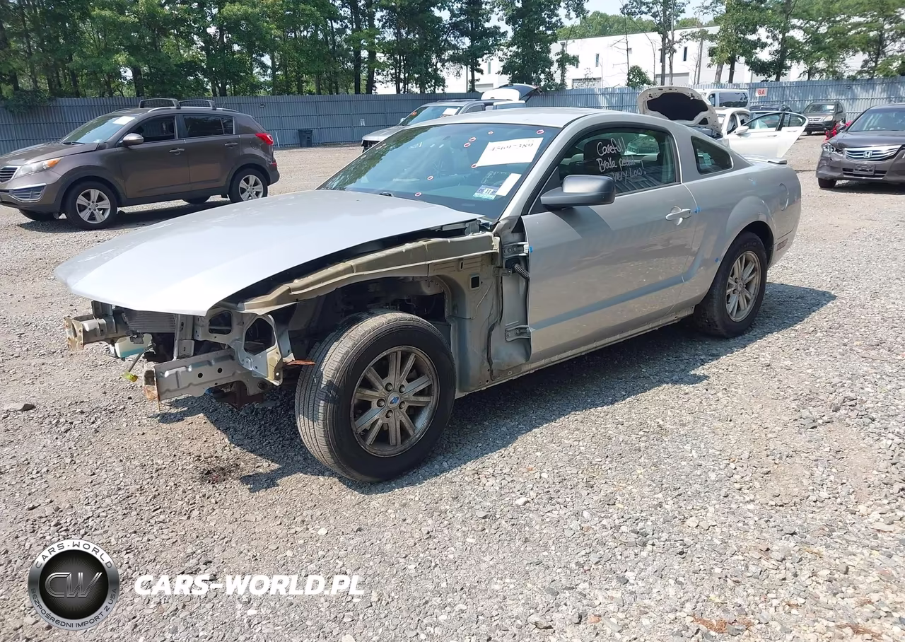 2009 Ford Mustang V6-V6 Premium VIN:1ZVHT80NX95133432 - 2
