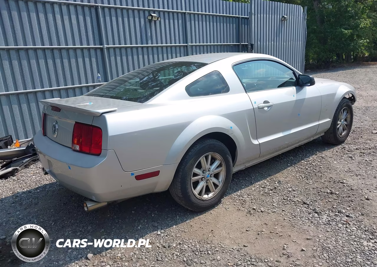 2009 Ford Mustang V6-V6 Premium VIN:1ZVHT80NX95133432 - 4