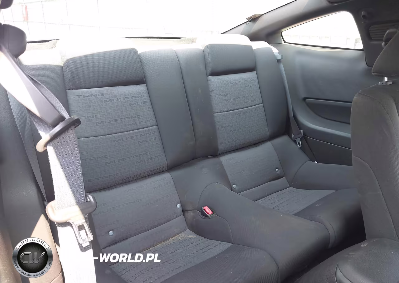 2009 Ford Mustang V6-V6 Premium VIN:1ZVHT80NX95133432 - 8