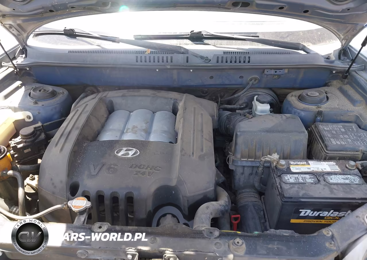 2003 Hyundai Santa Fe Gls-Lx VIN:KM8SC13D03U345591 - 10