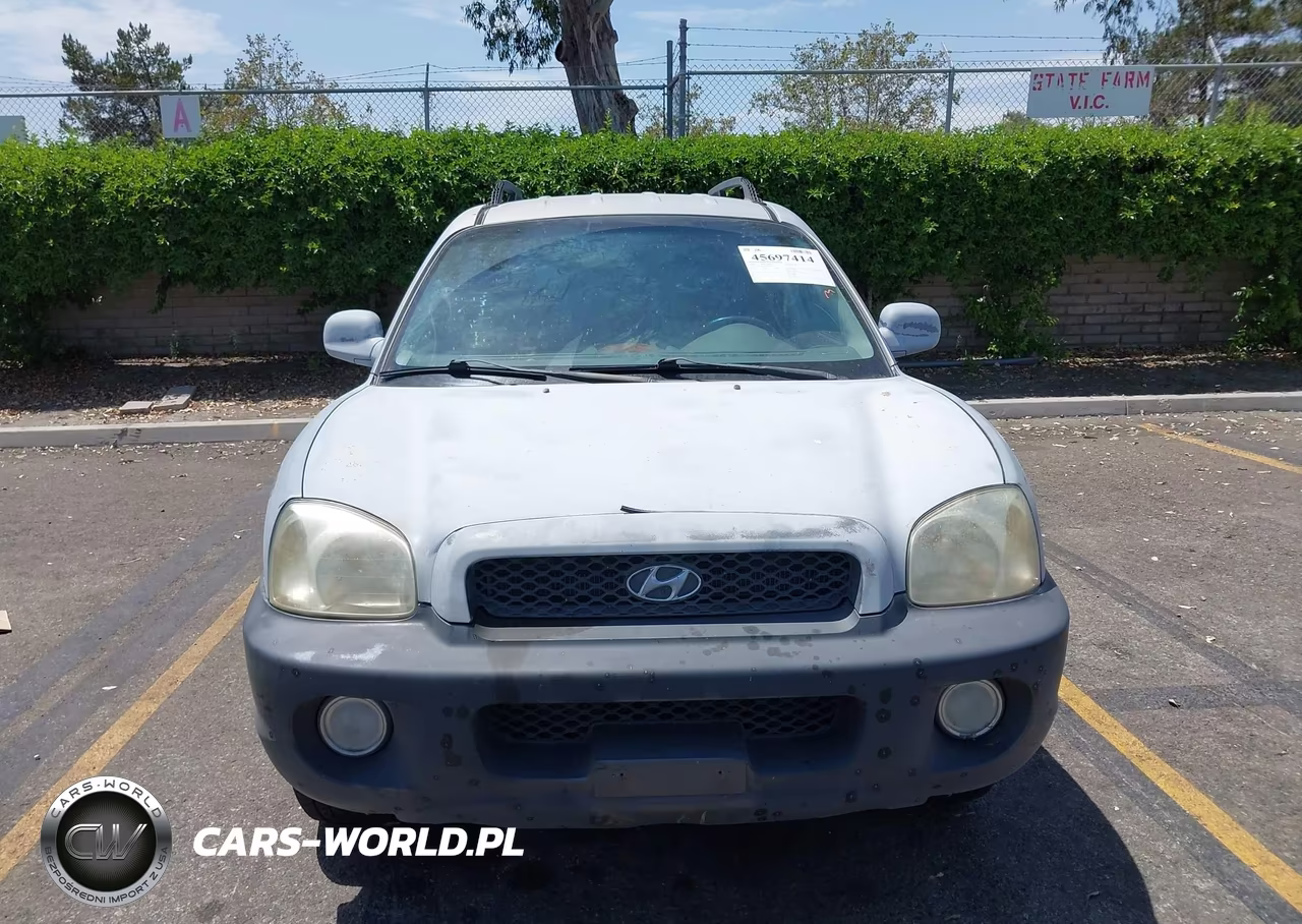 2003 Hyundai Santa Fe Gls-Lx VIN:KM8SC13D03U345591 - 12