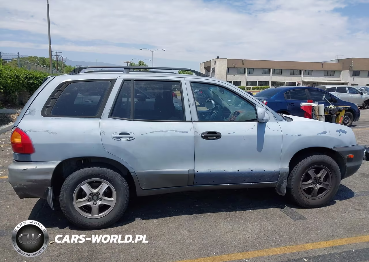 2003 Hyundai Santa Fe Gls-Lx VIN:KM8SC13D03U345591 - 13