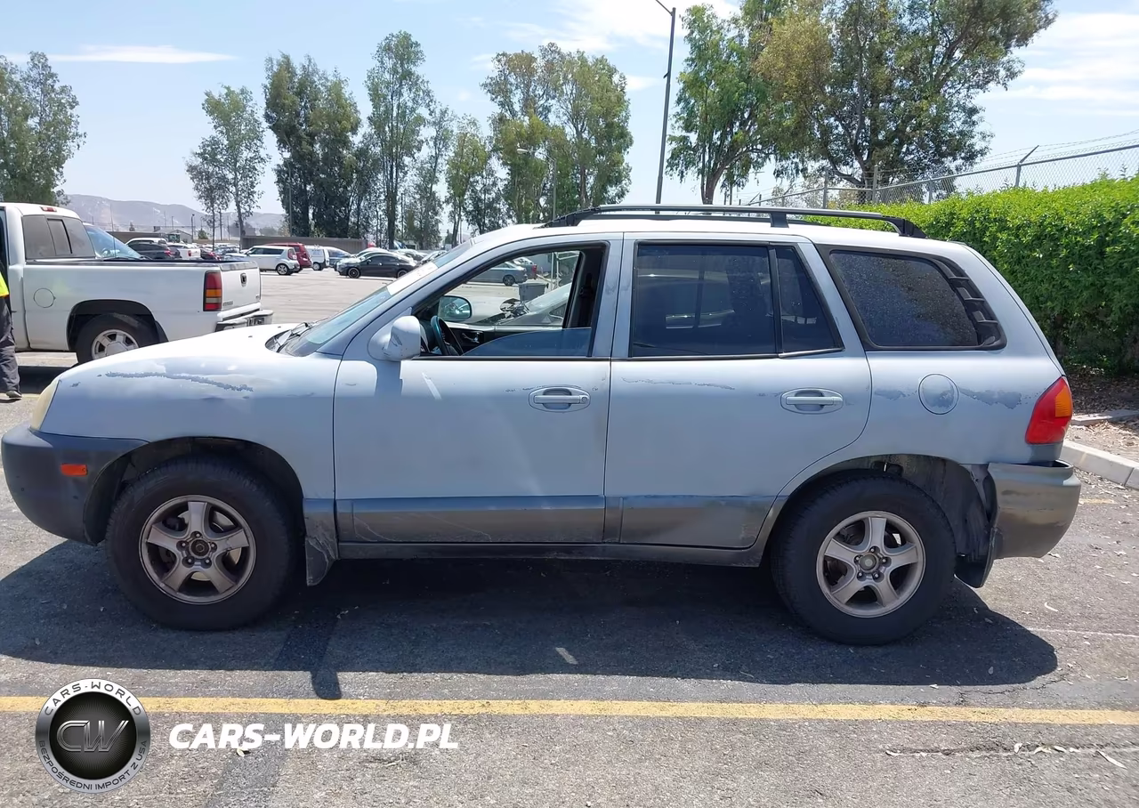 2003 Hyundai Santa Fe Gls-Lx VIN:KM8SC13D03U345591 - 14