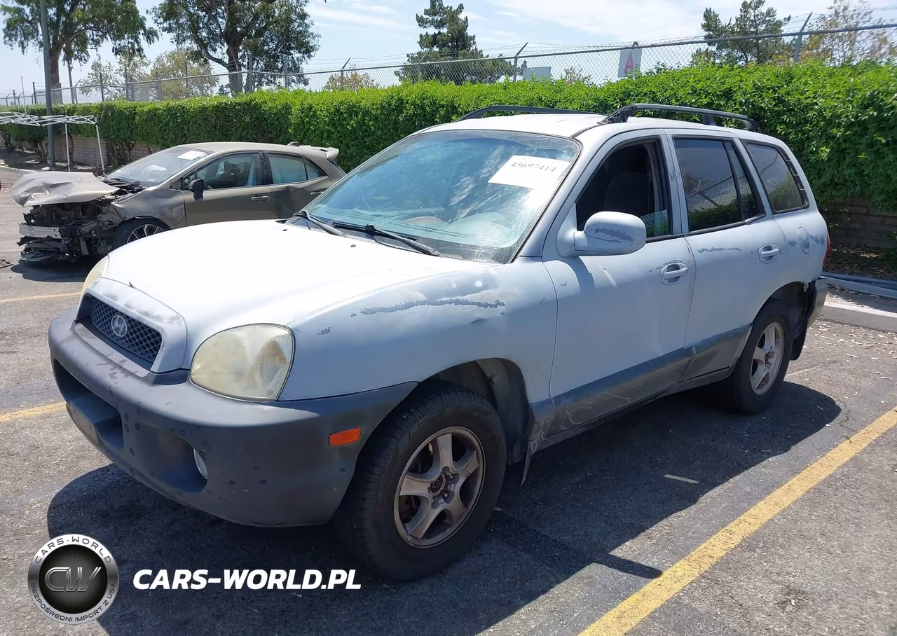 2003 Hyundai Santa Fe Gls-Lx VIN:KM8SC13D03U345591 - 2