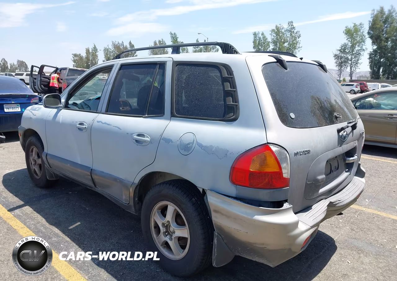 2003 Hyundai Santa Fe Gls-Lx VIN:KM8SC13D03U345591 - 3