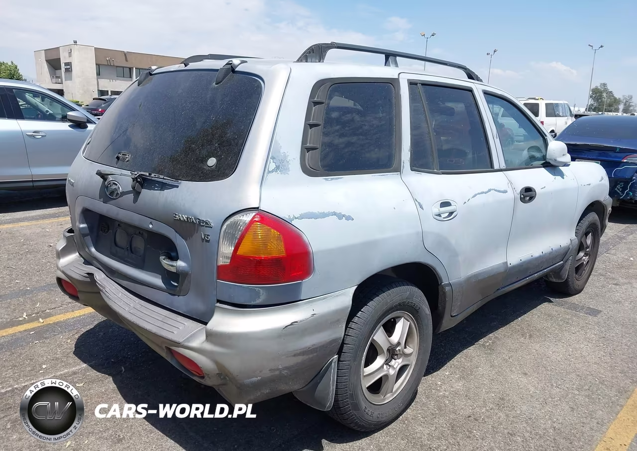 2003 Hyundai Santa Fe Gls-Lx VIN:KM8SC13D03U345591 - 4