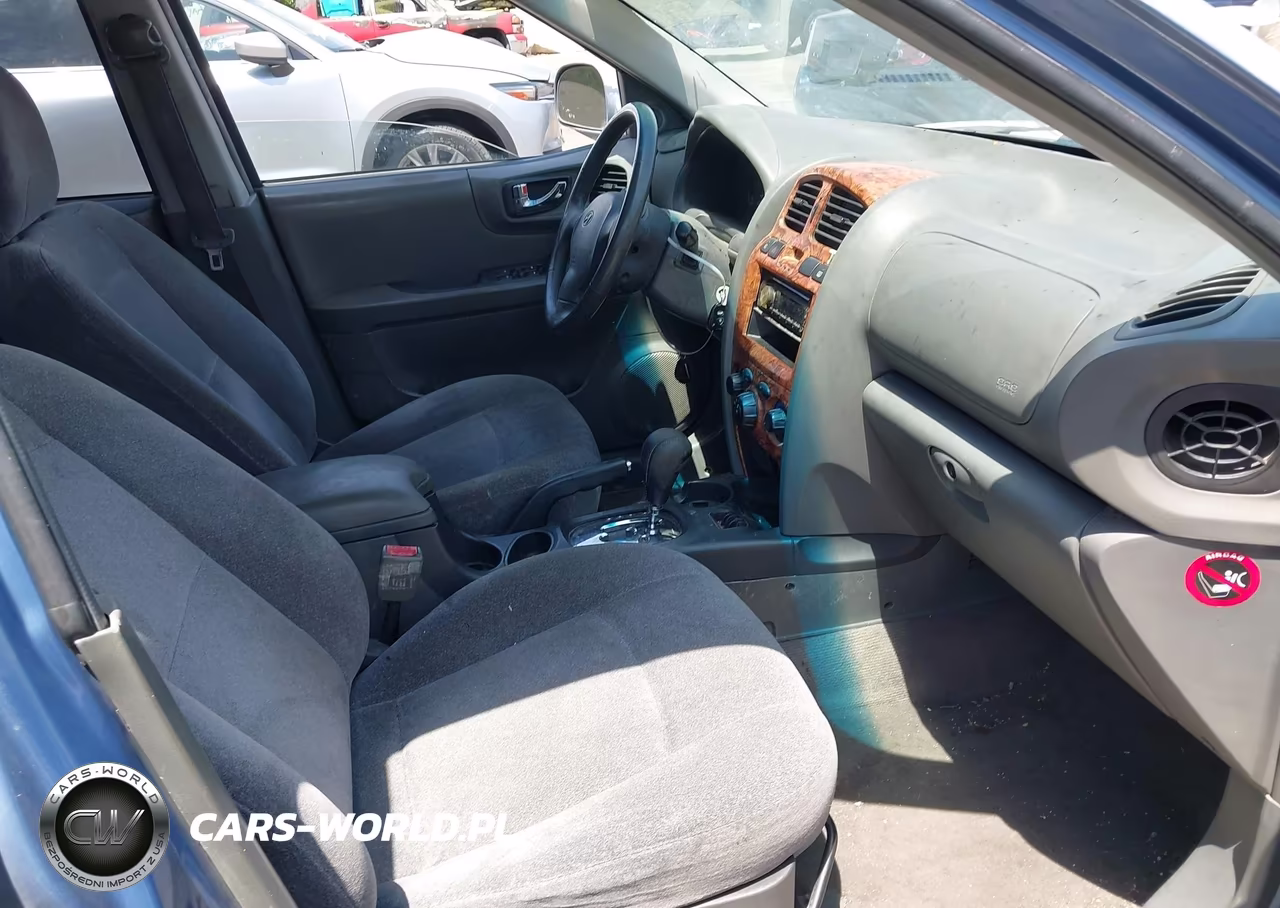 2003 Hyundai Santa Fe Gls-Lx VIN:KM8SC13D03U345591 - 5