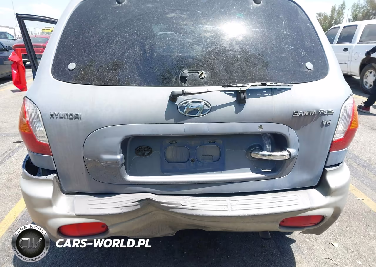 2003 Hyundai Santa Fe Gls-Lx VIN:KM8SC13D03U345591 - 6