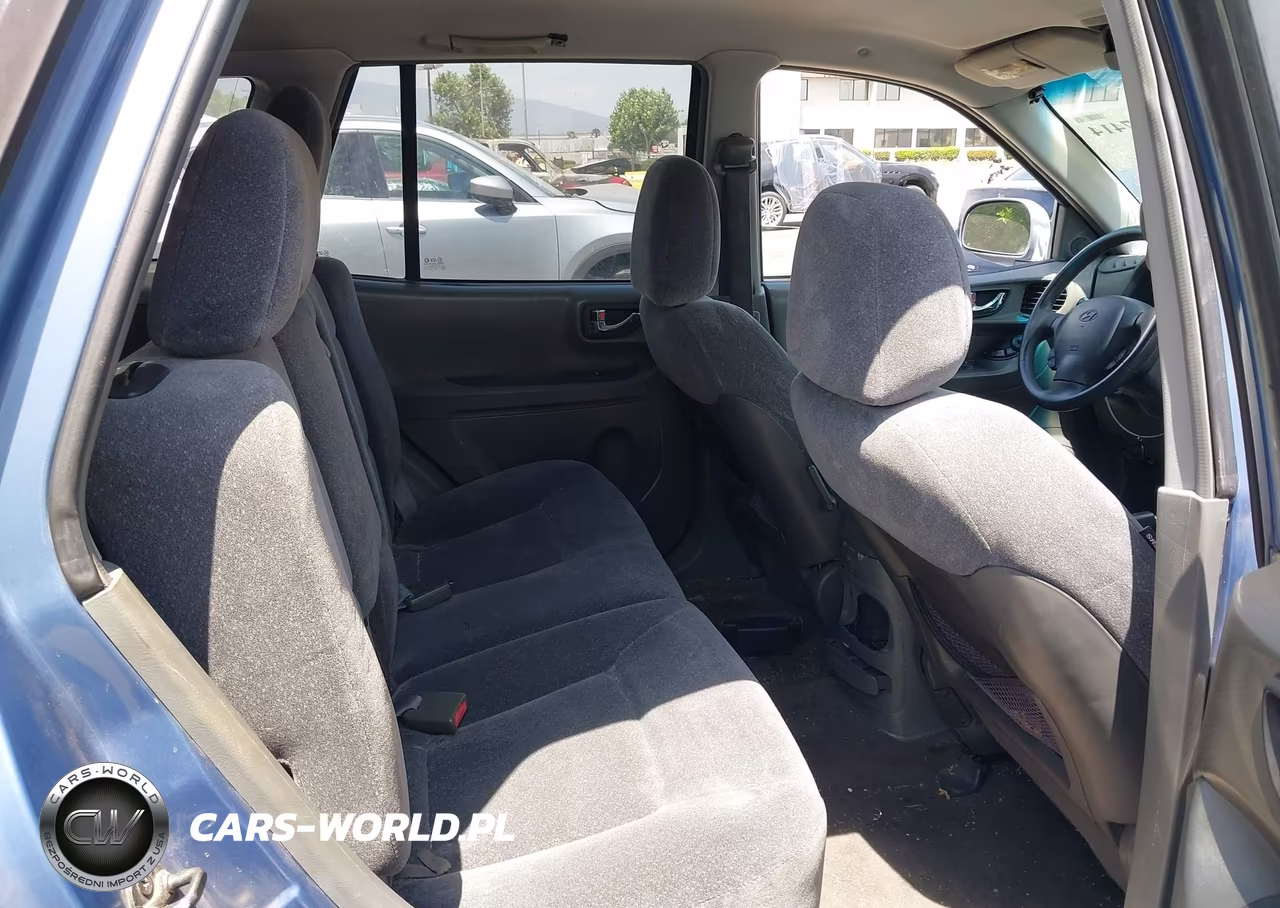 2003 Hyundai Santa Fe Gls-Lx VIN:KM8SC13D03U345591 - 8