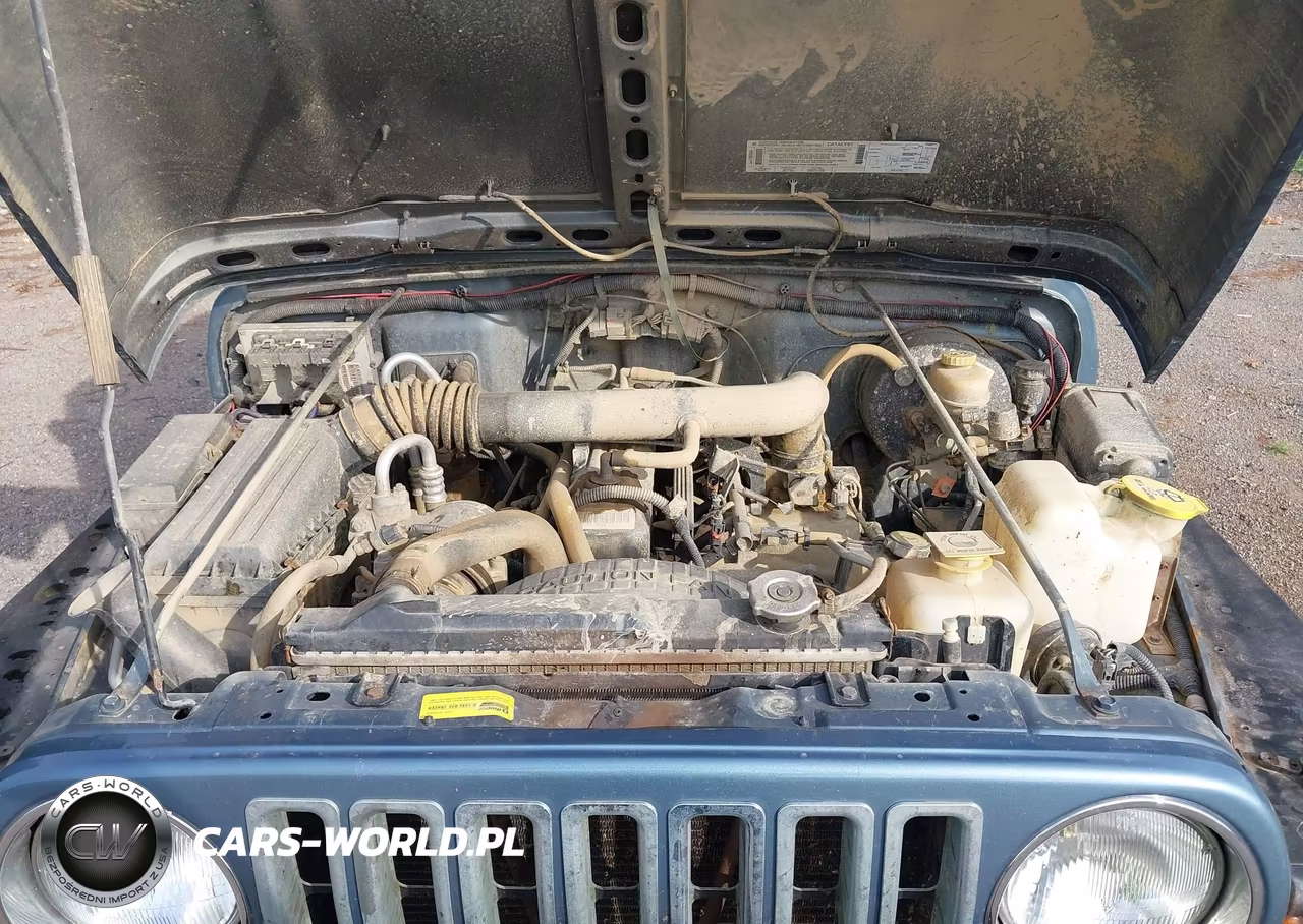 1999 Jeep Wrangler Sport VIN:1J4FY19S7XP469370 - 10