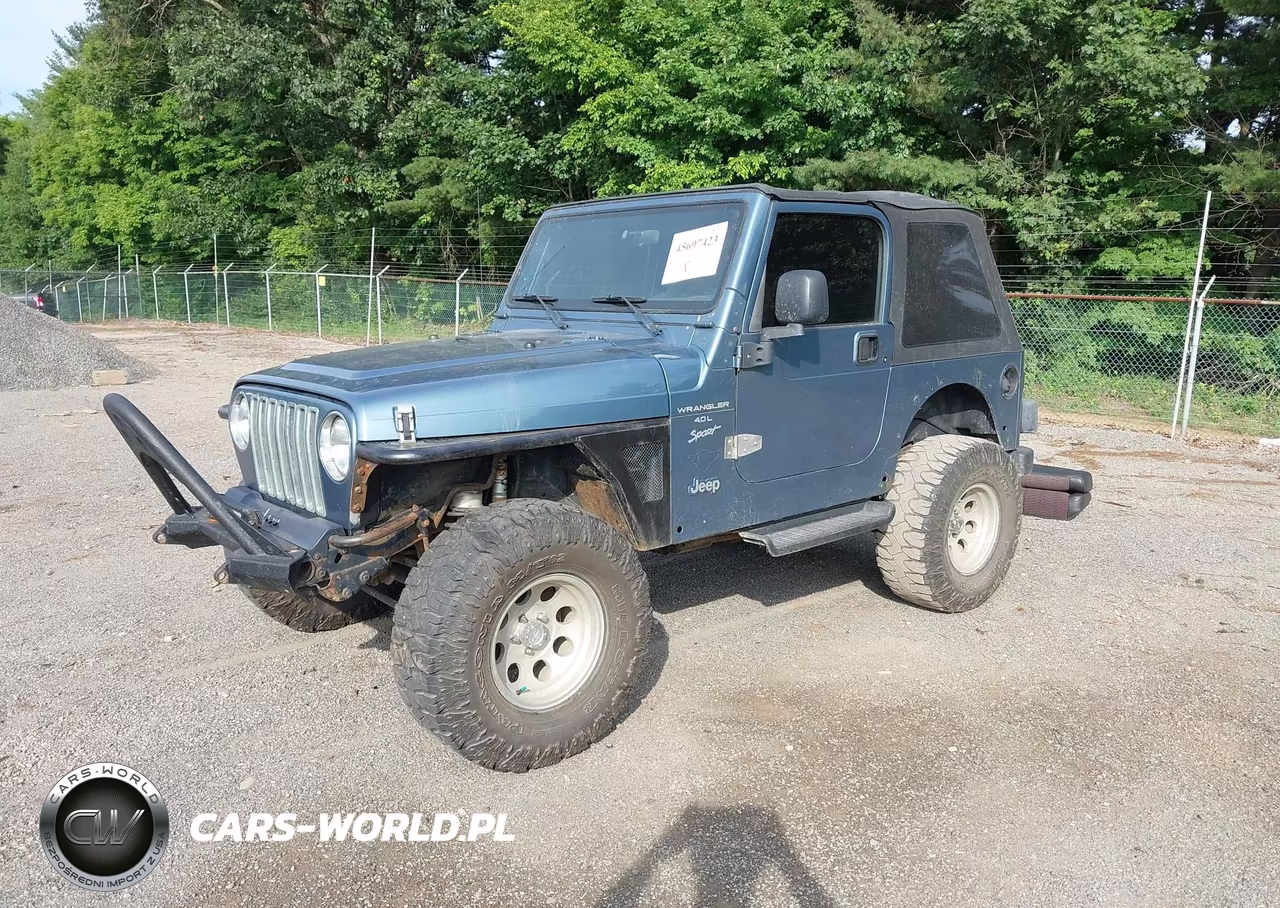 1999 Jeep Wrangler Sport VIN:1J4FY19S7XP469370 - 2