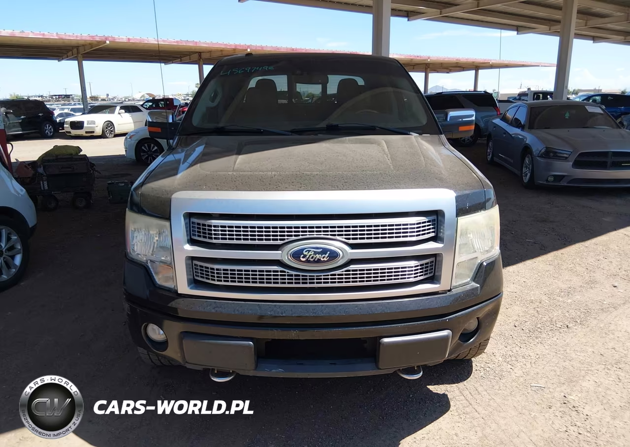 2010 Ford F-150 Fx4-Harley-Davidson-King Ranch-Lariat-Platinum-Xl-Xlt VIN:1FTFW1EV5AFD67171 - 12