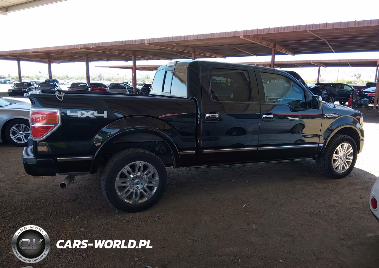 2010 Ford F-150 Fx4-Harley-Davidson-King Ranch-Lariat-Platinum-Xl-Xlt VIN:1FTFW1EV5AFD67171 - 13